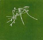 Insekt, 1999, Holzschnitt, 23x24,5cm